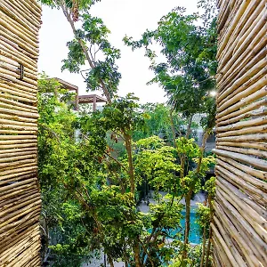 sukha-tulum-by-moskito.quintano-roohotels.com/