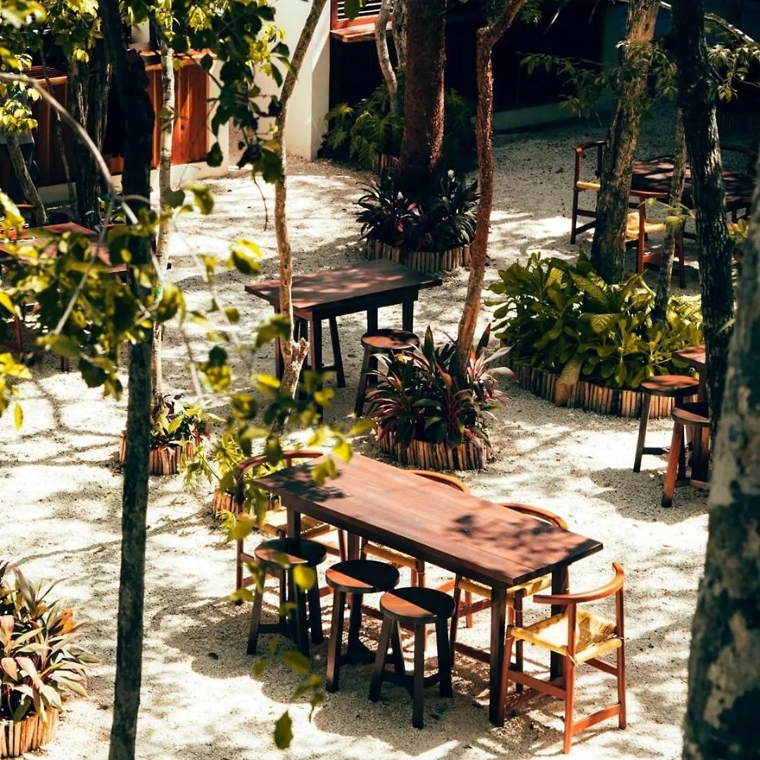Hotel Motto By Hilton Tulum
